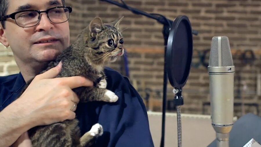 Steve Albini with Lil Bub, a small saucer-eyed cat, on his shoulder.